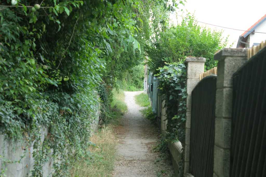 Chemin gravillonné entre deux propriétés bordées de murs et de clôtures